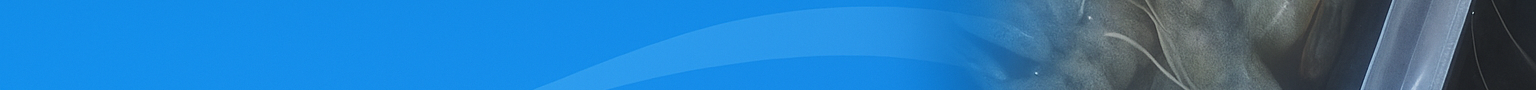 Avada Technology Logo